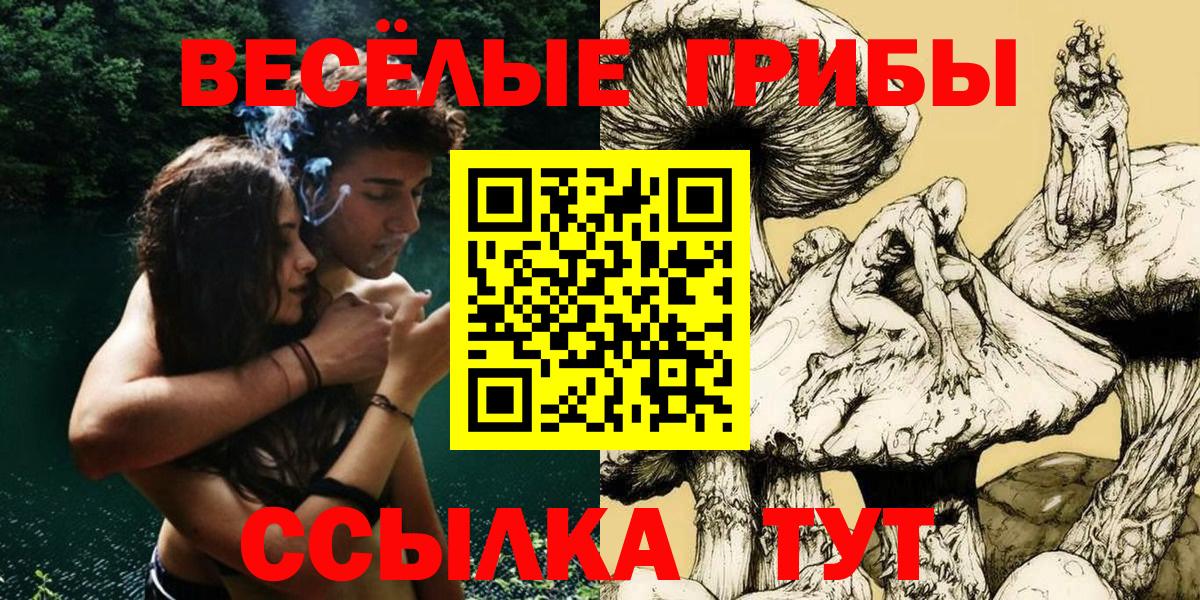 Сланцы  Галлюциногенные грибы ЛСД  Вход с VPN  Галлюциногенные грибы Cubensis 